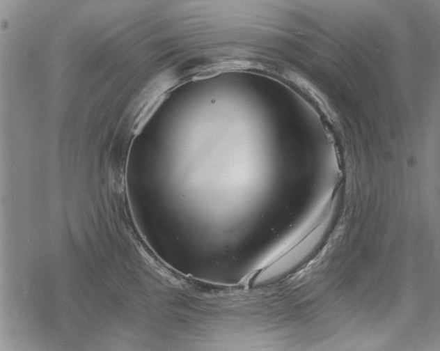 X0000068831193200605051228