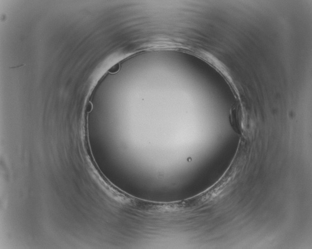 X0000068831195200605051228