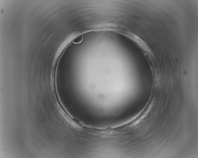 X0000068831196200605051228