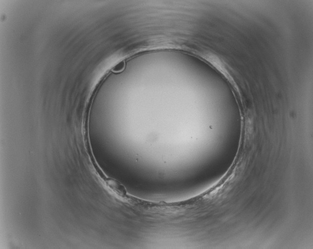 X0000068831197200605051228