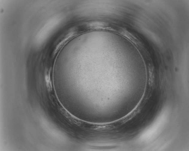 X0000068831198200605051228