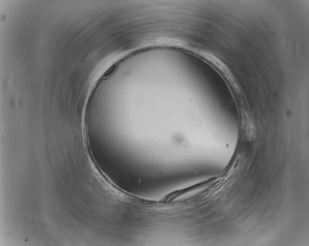 X0000068831199200605051228