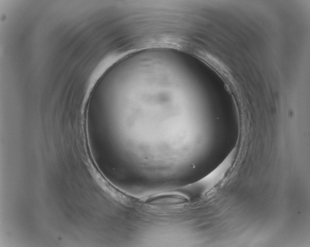 X0000068831200200605051228