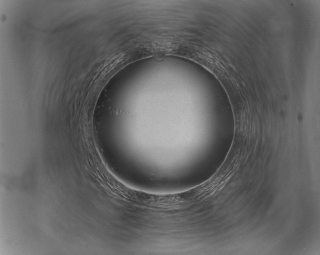 X0000068831201200605051227