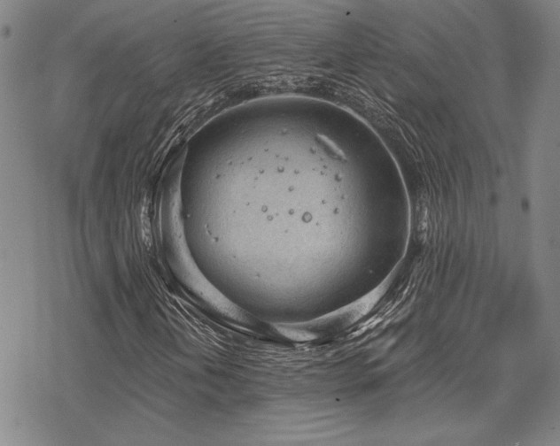 X0000068831202200605051227