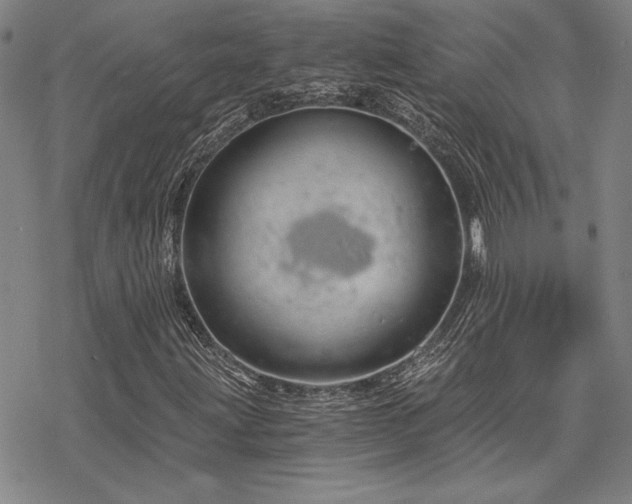 X0000068831203200605051227