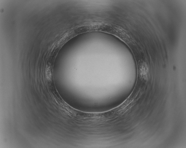 X0000068831204200605051227