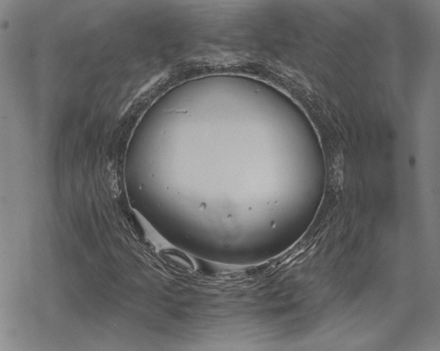 X0000068831205200605051227