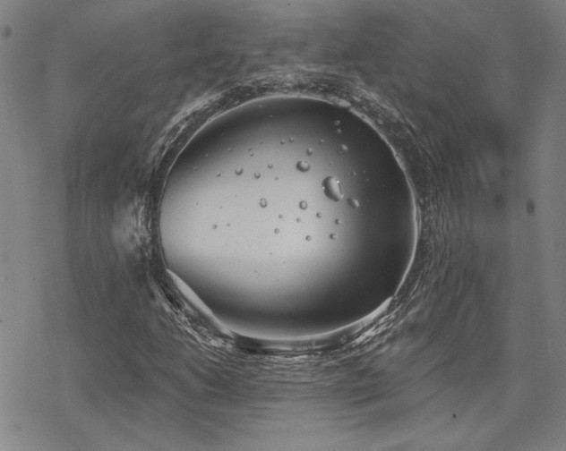 X0000068831206200605051227