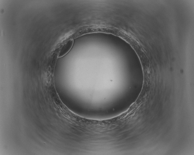 X0000068831207200605051227