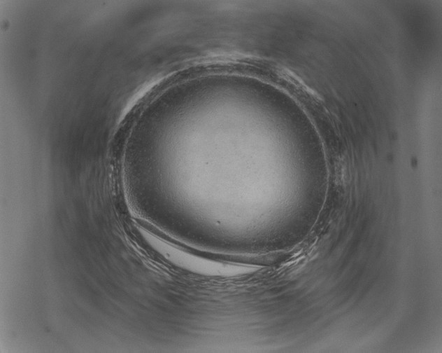 X0000068831208200605051227