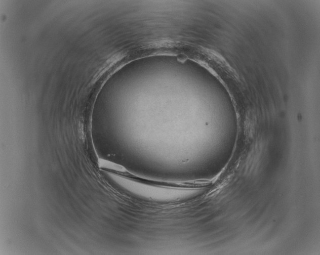 X0000068831209200605051227