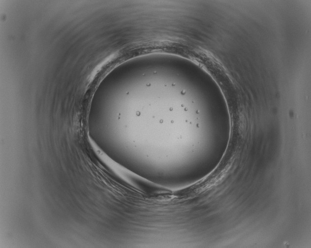 X0000068831210200605051227