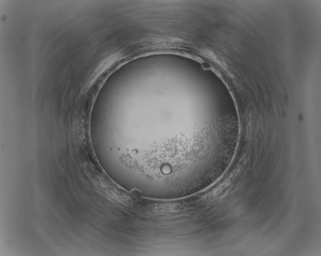 X0000068831211200605051227