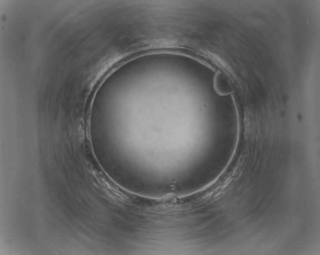 X0000068831212200605051227