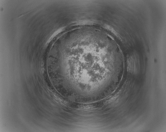 X0000068831213200605051227