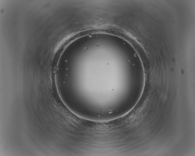 X0000068831214200605051227