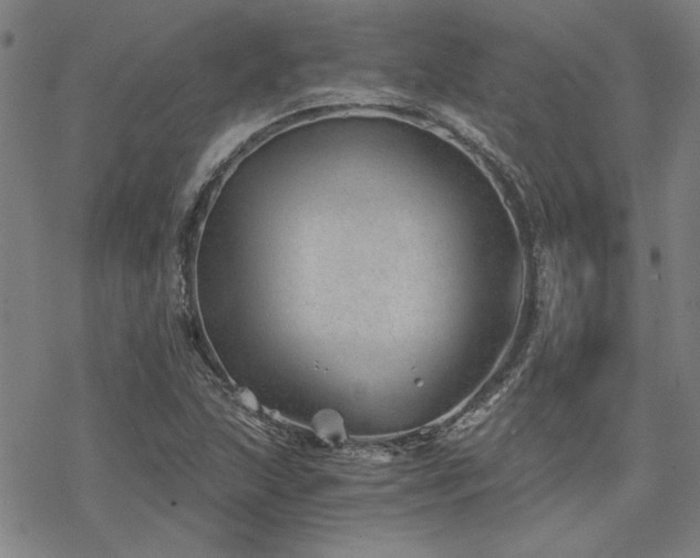 X0000068831215200605051228