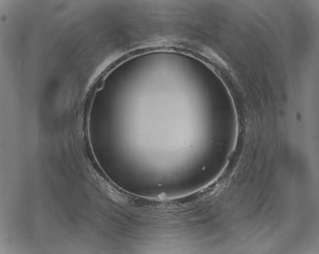 X0000068831216200605051228