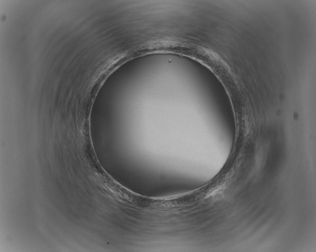 X0000068831217200605051228