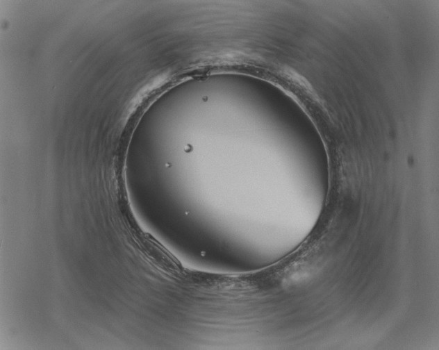 X0000068831218200605051228