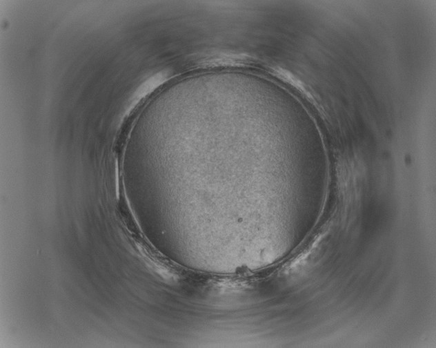 X0000068831219200605051228