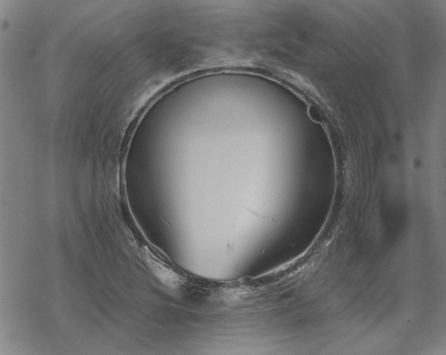 X0000068831220200605051228