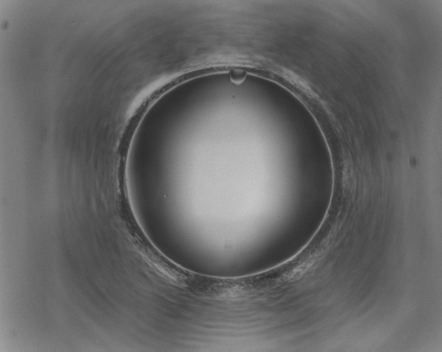 X0000068831222200605051228