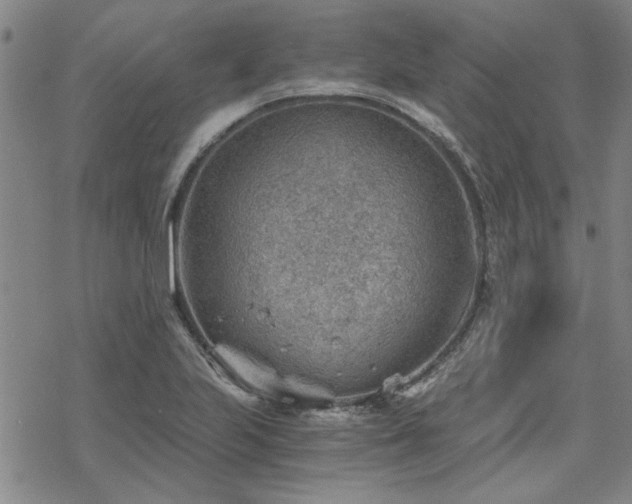 X0000068831223200605051228