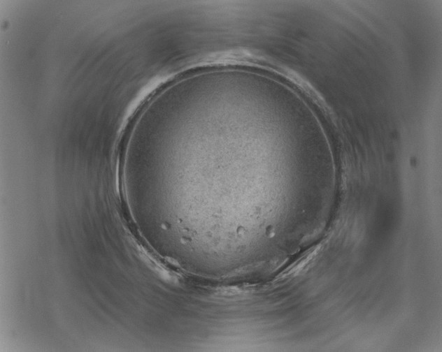 X0000068831224200605051228