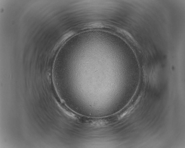 X0000068831225200605051228