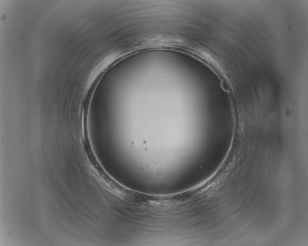 X0000068831227200605051228