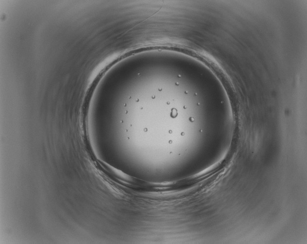 X0000068831230200605051228