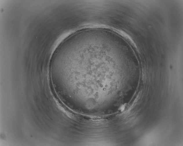 X0000068831231200605051228