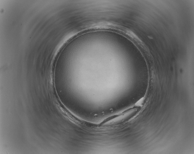 X0000068831232200605051228