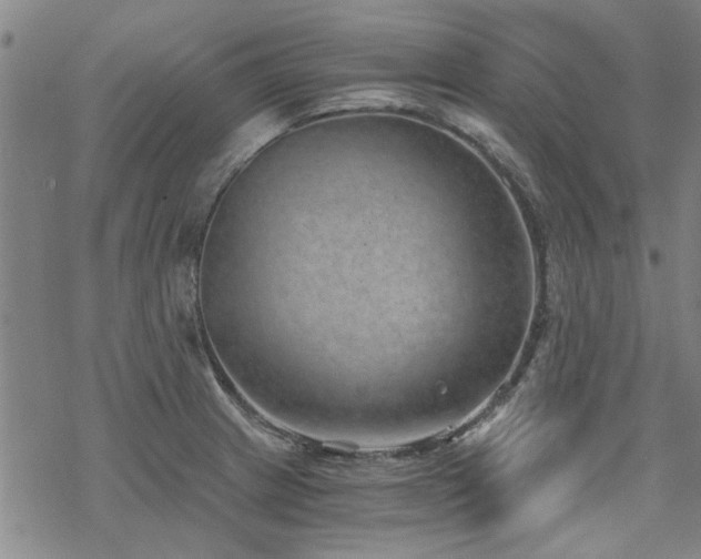 X0000068831233200605051228