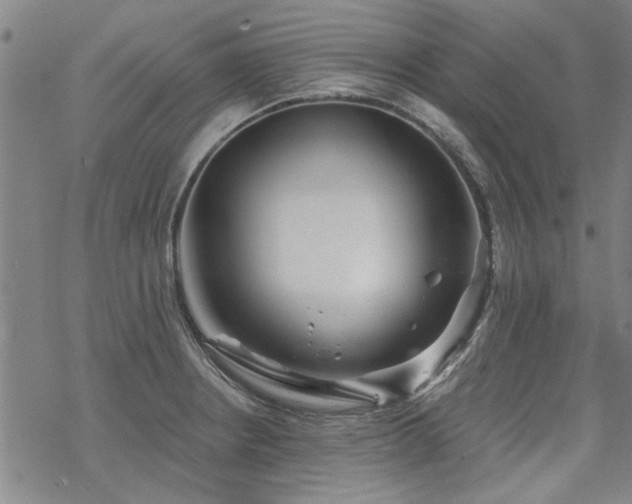 X0000068831234200605051228