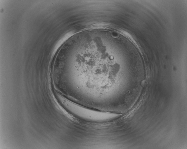 X0000068831235200605051228