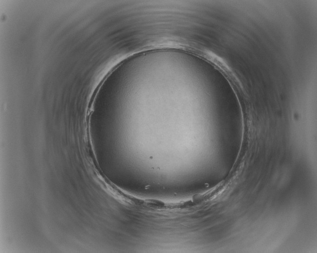 X0000068831236200605051228