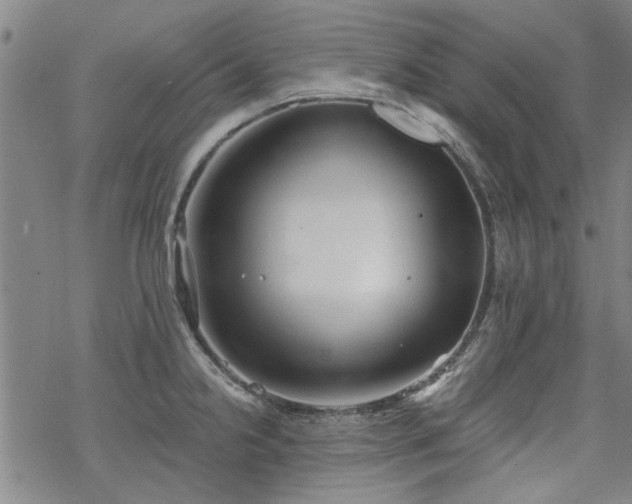 X0000068831238200605051228