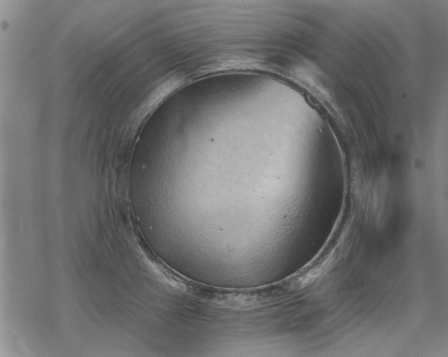 X0000068831241200605051228