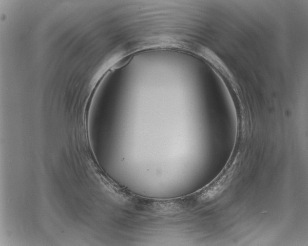 X0000068831242200605051228