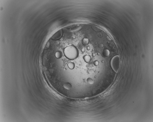 X0000068831243200605051228