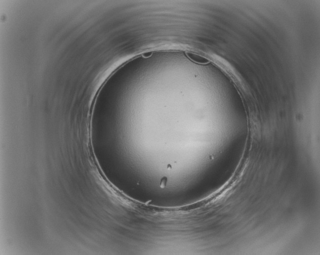 X0000068831244200605051228