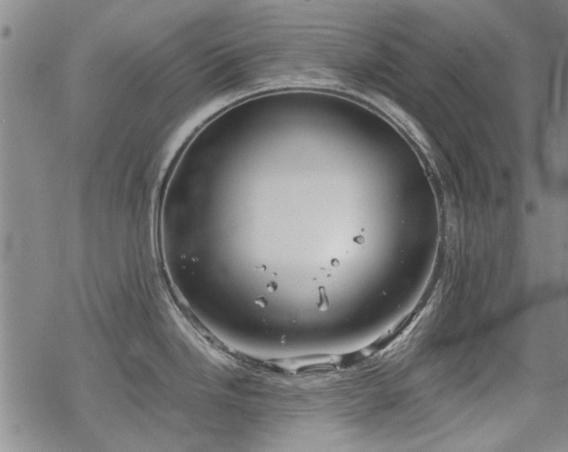 X0000068831246200605051228