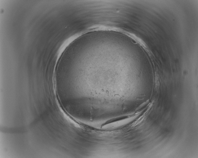 X0000068831247200605051228