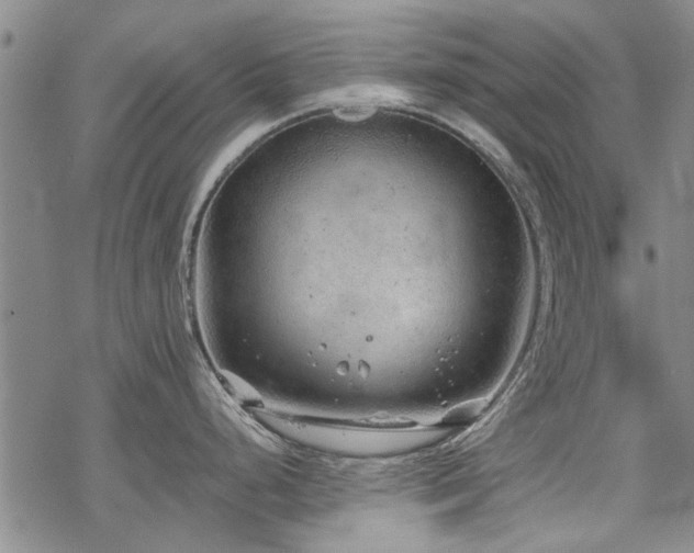 X0000068831248200605051228