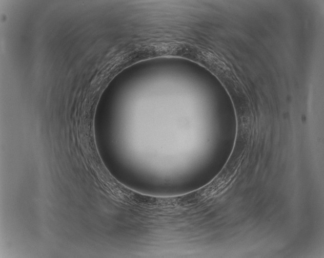 X0000068831249200605051227