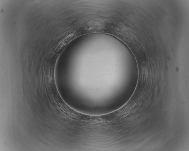 X0000068831250200605051227