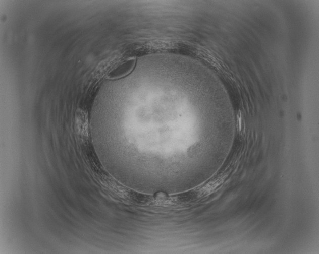 X0000068831251200605051227